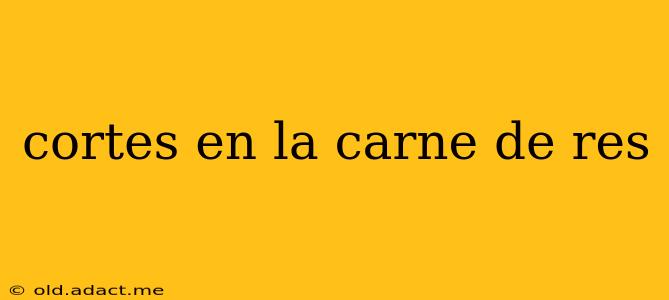 cortes en la carne de res