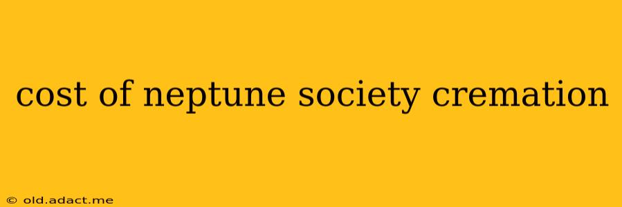 cost of neptune society cremation