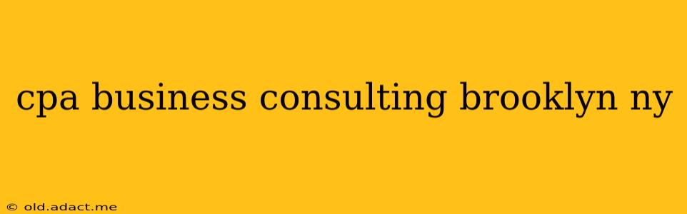 cpa business consulting brooklyn ny