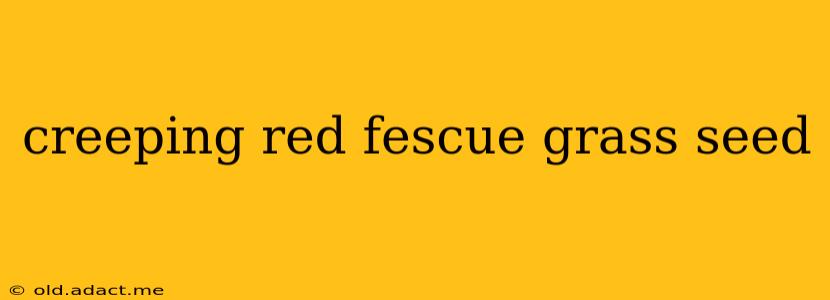 creeping red fescue grass seed