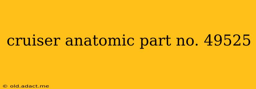 cruiser anatomic part no. 49525