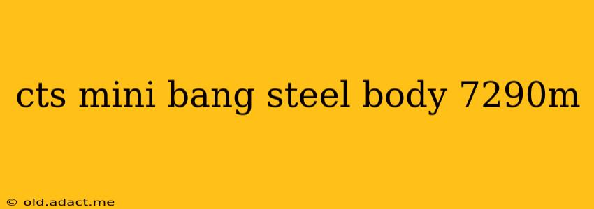 cts mini bang steel body 7290m