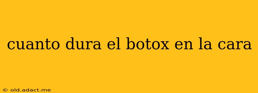 cuanto dura el botox en la cara