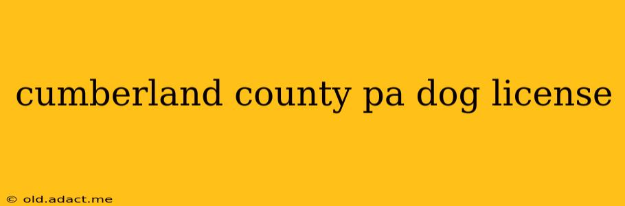 cumberland county pa dog license