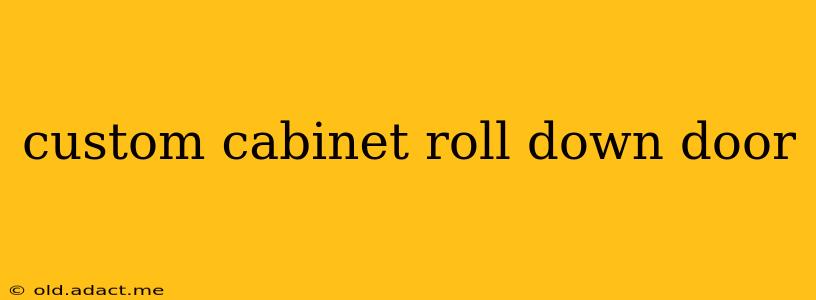 custom cabinet roll down door