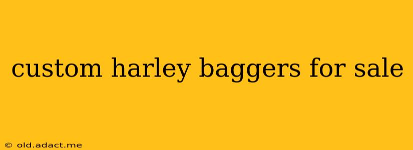custom harley baggers for sale