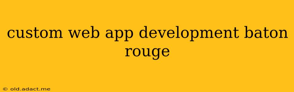 custom web app development baton rouge