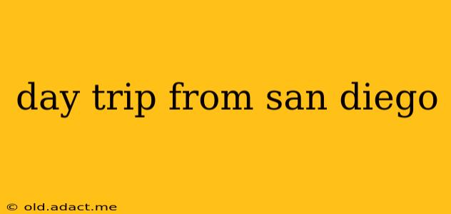day trip from san diego