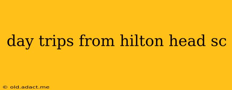 day trips from hilton head sc