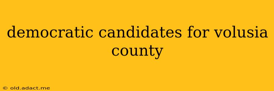 democratic candidates for volusia county