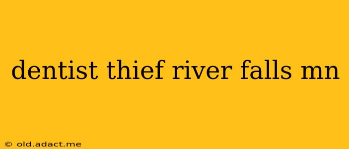 dentist thief river falls mn