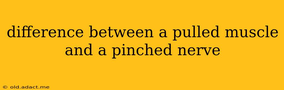 difference between a pulled muscle and a pinched nerve