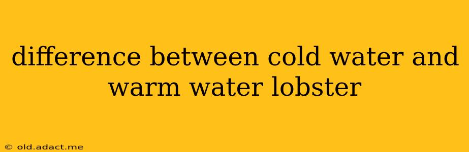 difference between cold water and warm water lobster