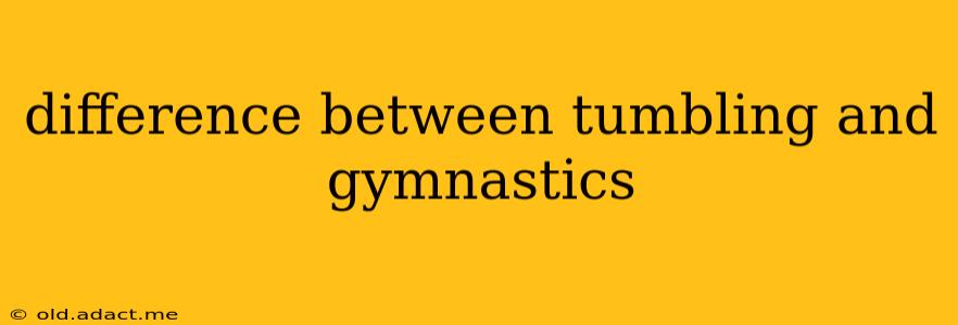difference between tumbling and gymnastics