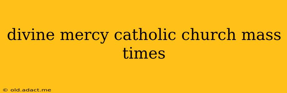 divine mercy catholic church mass times