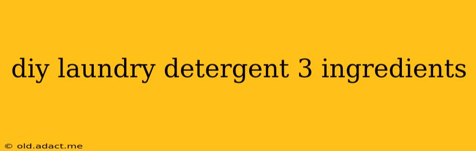 diy laundry detergent 3 ingredients