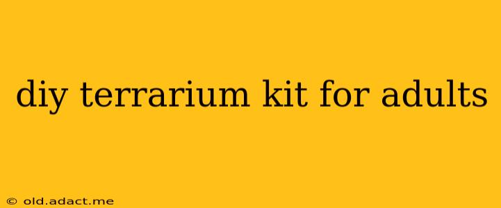 diy terrarium kit for adults