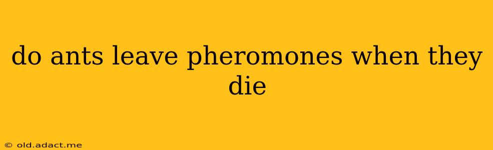 do ants leave pheromones when they die