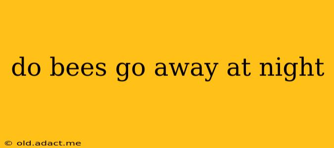 do bees go away at night