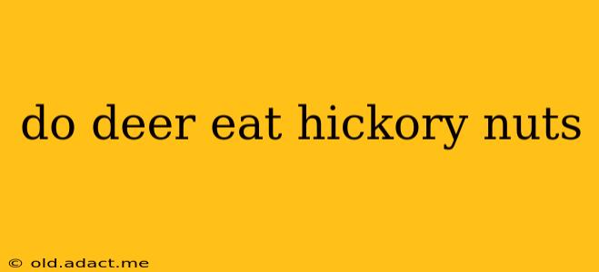 do deer eat hickory nuts