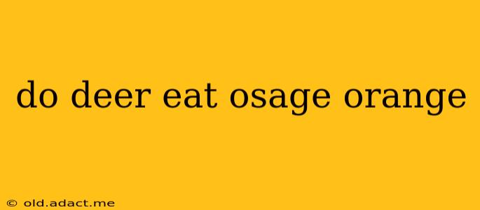 do deer eat osage orange