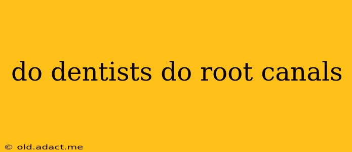 do dentists do root canals