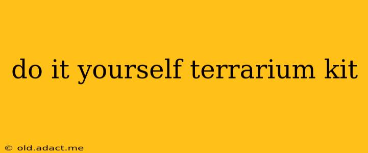 do it yourself terrarium kit