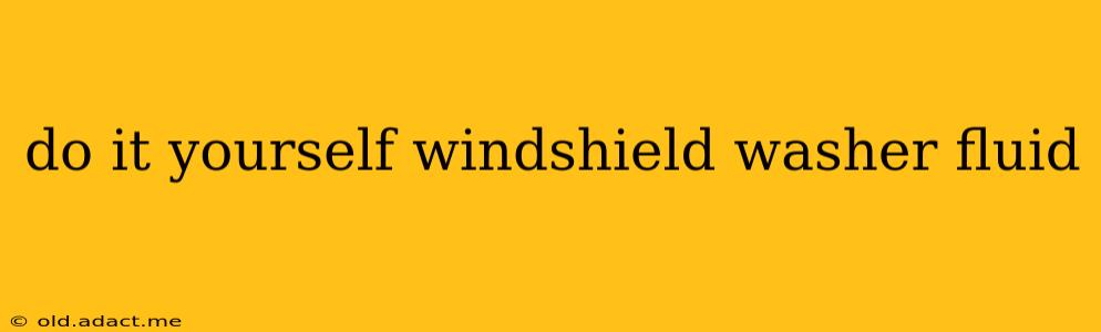 do it yourself windshield washer fluid