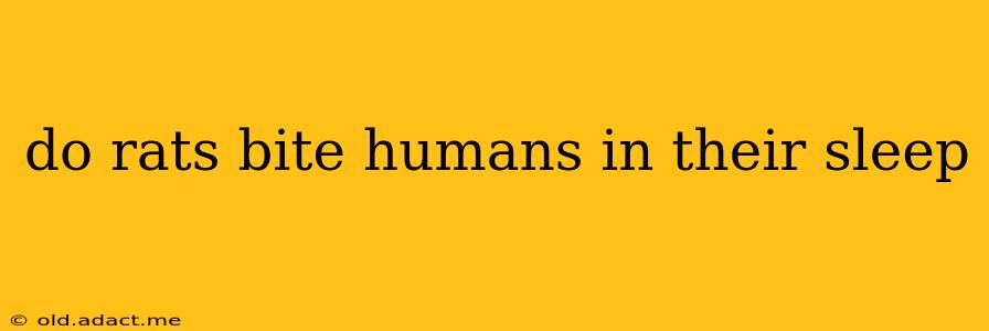 do rats bite humans in their sleep