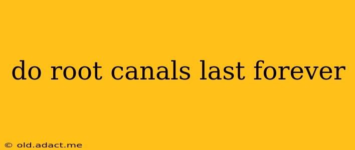 do root canals last forever
