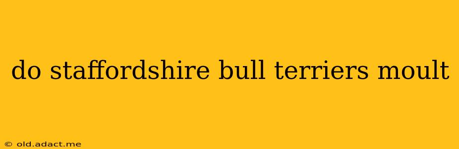 do staffordshire bull terriers moult