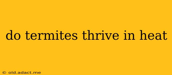 do termites thrive in heat