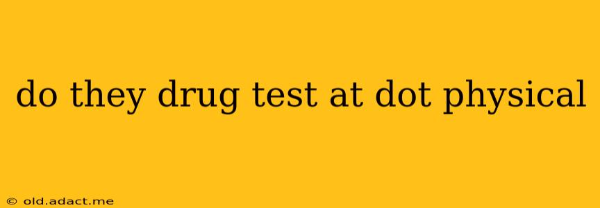 do they drug test at dot physical