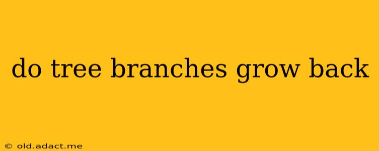 do tree branches grow back