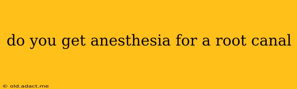 do you get anesthesia for a root canal
