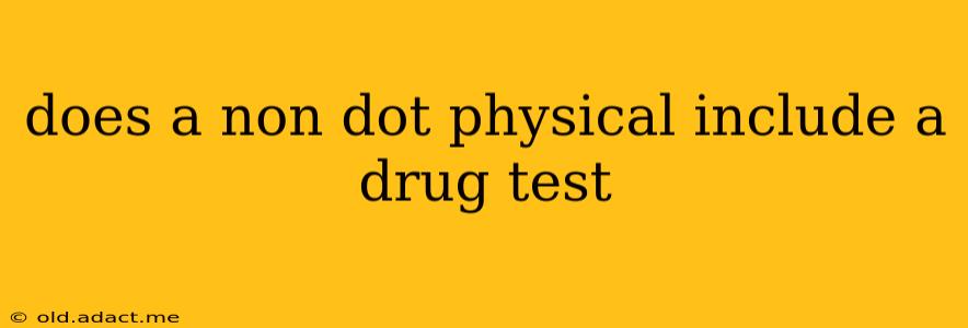 does a non dot physical include a drug test