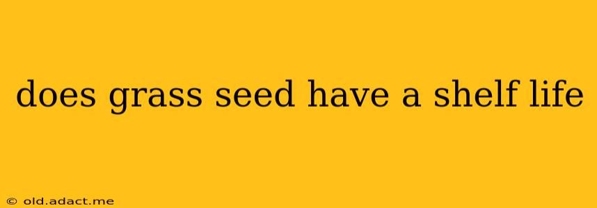 does grass seed have a shelf life