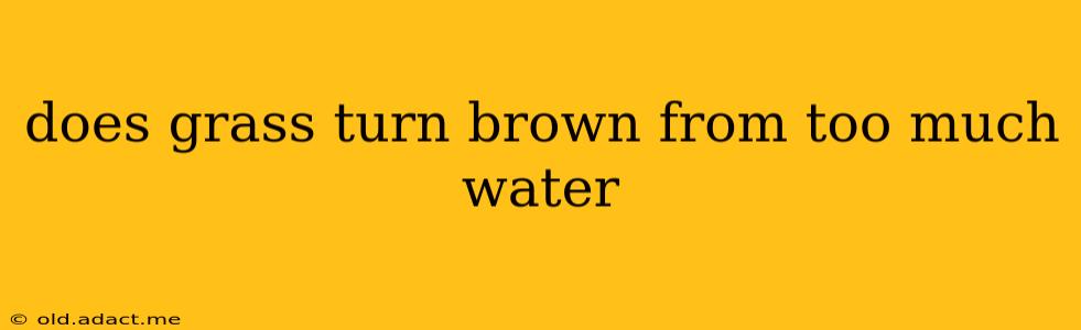 does grass turn brown from too much water