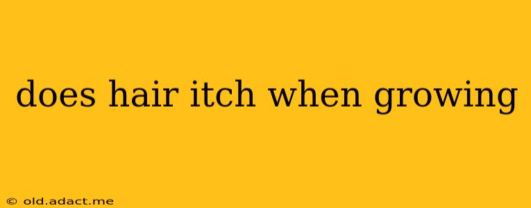 does hair itch when growing