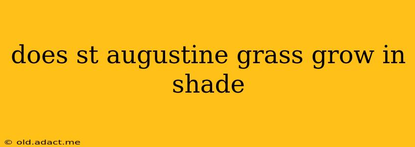 does st augustine grass grow in shade