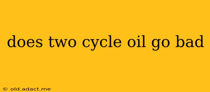 does two cycle oil go bad