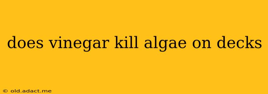 does vinegar kill algae on decks