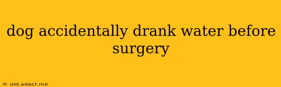 dog accidentally drank water before surgery