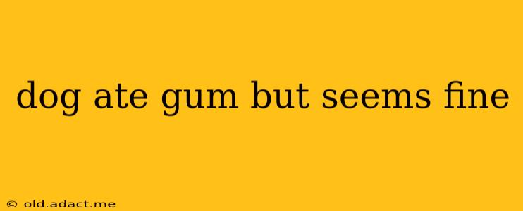 dog ate gum but seems fine