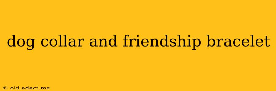 dog collar and friendship bracelet