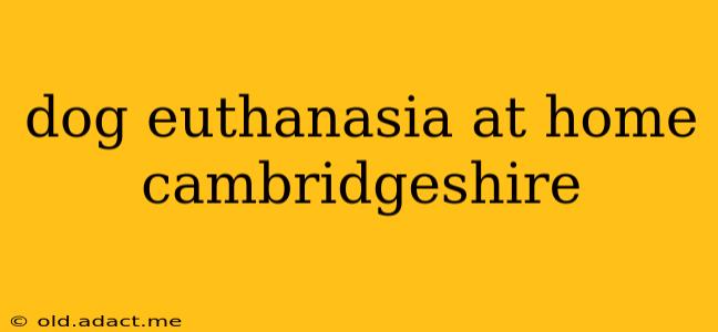 dog euthanasia at home cambridgeshire
