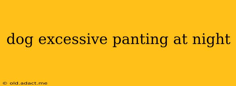 dog excessive panting at night
