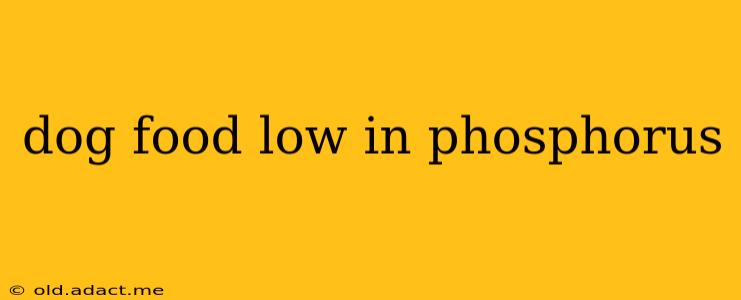 dog food low in phosphorus