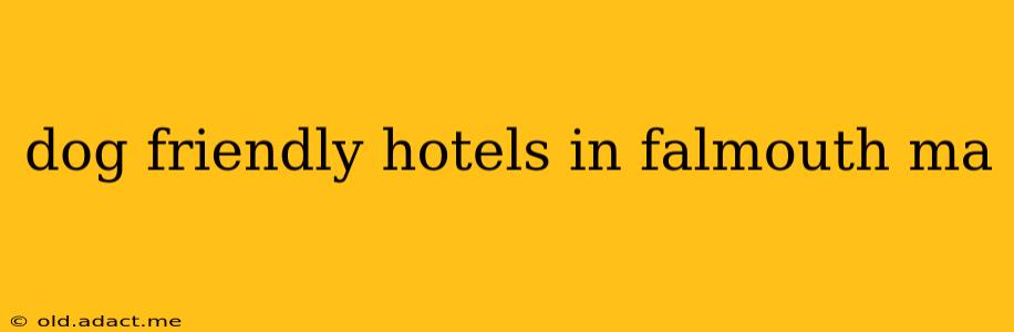dog friendly hotels in falmouth ma