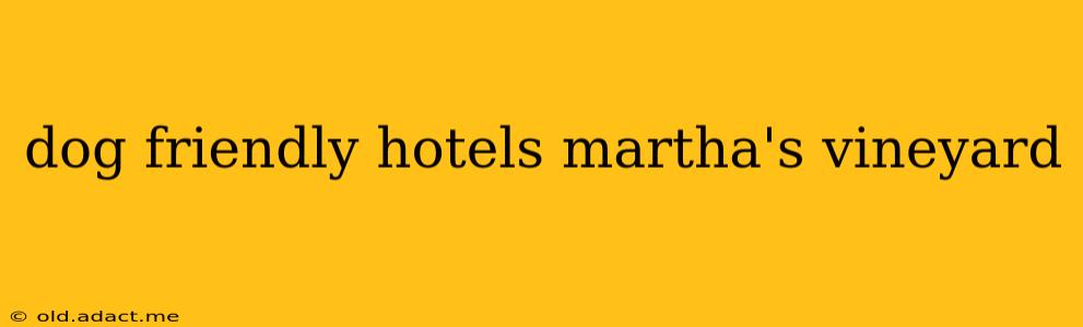 dog friendly hotels martha's vineyard